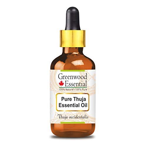 Greenwood Essential - Aceite esencial de tuya (Thuja occidentalis) 100 % natural de grado terapéutico extraído mediante destilación por arrastre de vapor, frasco con cuentagotas de cristal, 10 ml