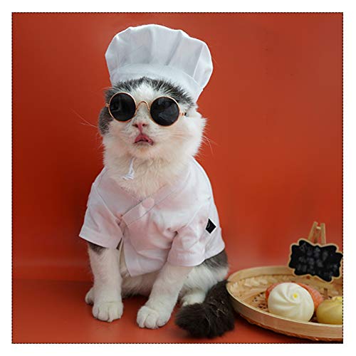 REW Disfraz de chef de gato, disfraz de perro de Navidad, ropa de fiesta para mascotas y sombrero, para perros y gatitos dulce regalo