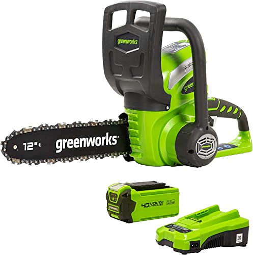 Greenworks G40CS30K2 Motosierra a Batería, Longitud de Barra de 30 cm, Velocidad de Cadena de 4,2 m/s, 3,7 kg, Engrasador Automático, Batería de 40V 2Ah y Cargador, Garantía de 3 Años