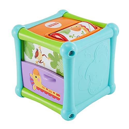 Fisher Price – Animal Activity Cube (BFH80)