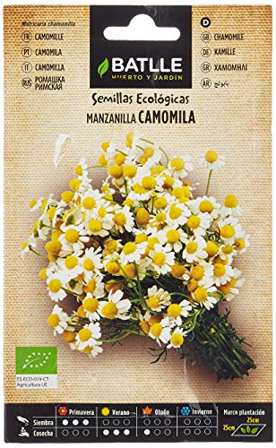 Manzanilla (Matricaria chamomilla) - ECO