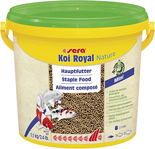 Sera - Alimento Completo Koi Royal Mini (2 mm) para el Desarrollo óptimo de Peces Koi hasta 12 cm, con prebióticos para un Mejor aprovechamiento del alimento, Menor Carga de Agua y Menos Algas